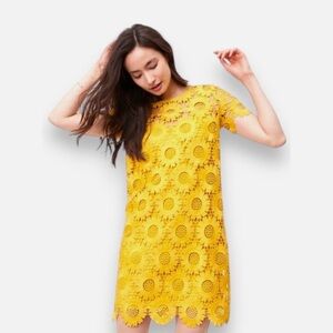 LOFT Sunflower Yellow Lace